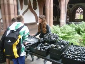 Markttag im Innenhof
