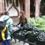 Markttag im Innenhof